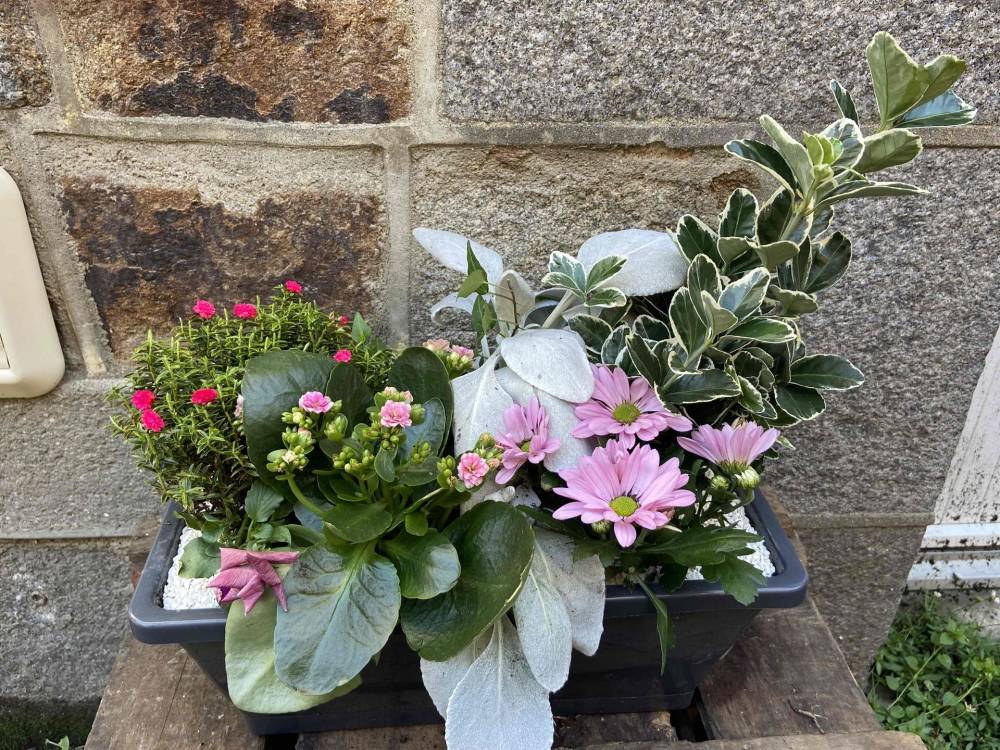 Un soupçon de fleurs-Fleuriste-Pleudihen-sur-Rance-d7