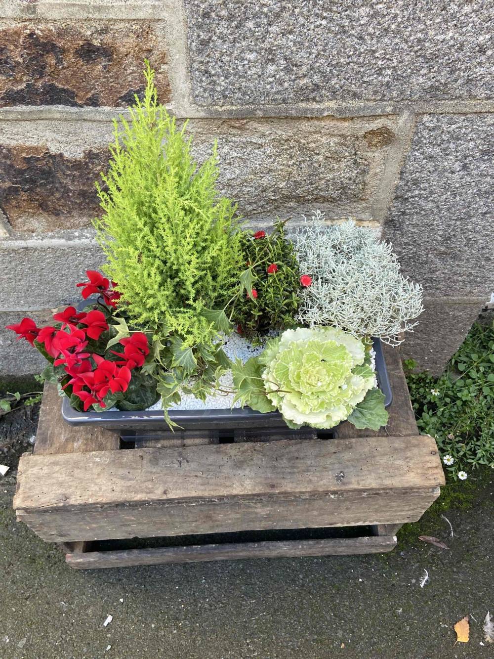 Un soupçon de fleurs-Fleuriste-Pleudihen-sur-Rance-d11
